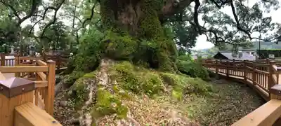 蒲生八幡神社の手水舎