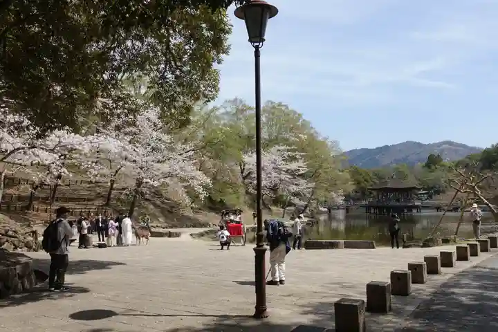 興福寺のその他建物