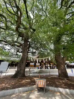 明治神宮(東京都)