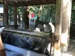 椿大神社(三重県)