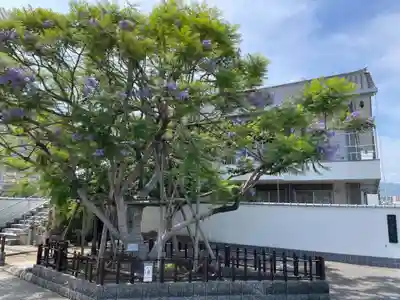 普照院(兵庫県)