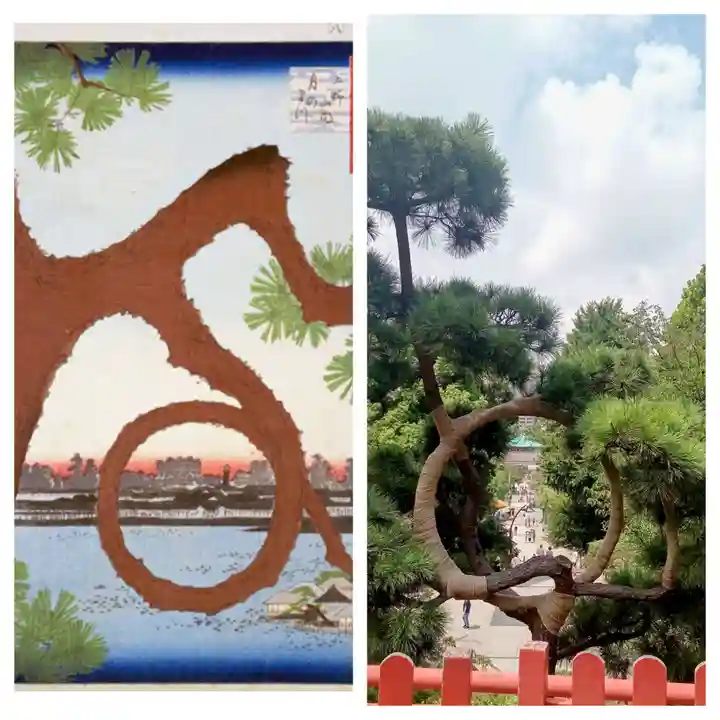 清水観音堂のその他建物