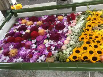 住吉神社の手水舎