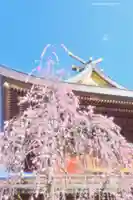 湯島天満宮(東京都)