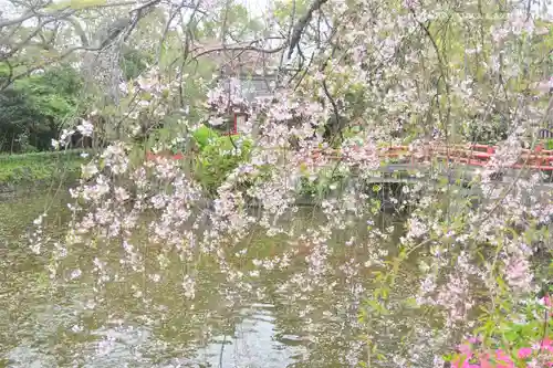 三嶋大社の庭園