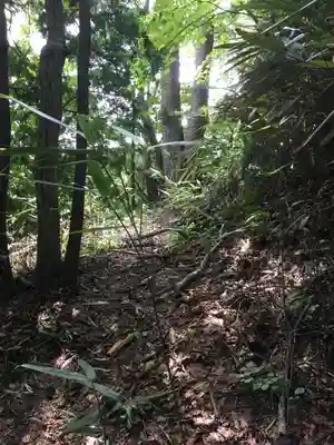 大山祇神社の周辺