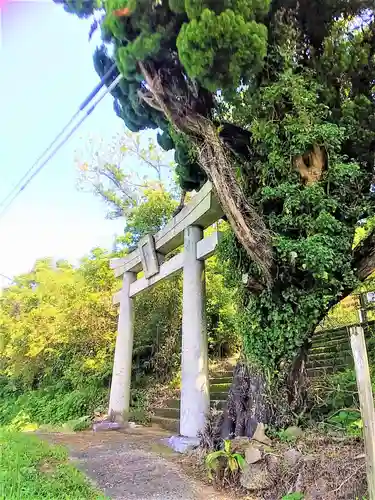 寶当神社の鳥居