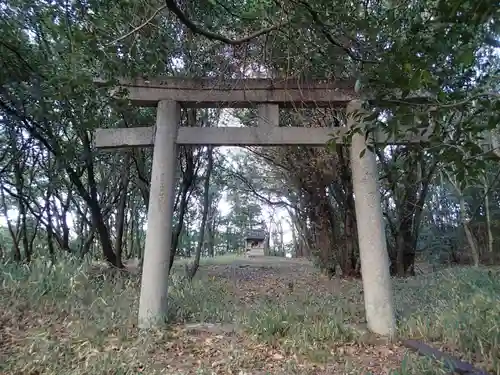 丸笠神社（伯太神社飛地境内社）の鳥居