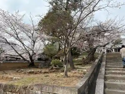 くろ谷 金戒光明寺(京都府)