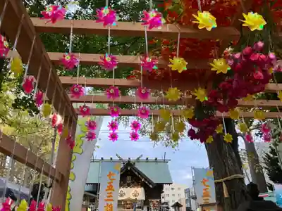 札幌諏訪神社の七五三参