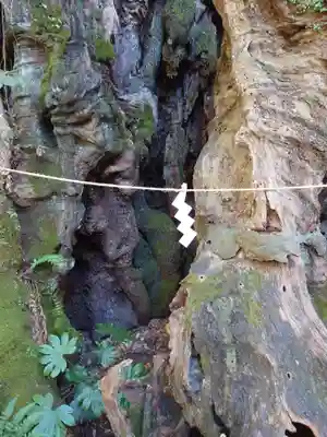 來宮神社(静岡県)