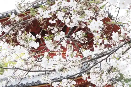 喜多院の{uncategorized: "未分類", other: "その他", undefined: "問題あり", building: "その他建物", grave: "お墓", sacred_gate: "鳥居", guardian: "狛犬", statue: "像", buddha: "仏像", history: "歴史", nature: "自然", garden: "庭園", animal: "動物", pagoda: "塔", temizu: "手水舎", mountain_gate: "山門・神門", sanctuary: "本殿・本堂", subordinate: "末社・摂社", art: "芸術", scenery: "景色", jizo: "地蔵", ema: "絵馬", goshuin: "御朱印", omikuji: "おみくじ", items: "授与品その他", amulet: "お守り", goshuincho: "御朱印帳", eats: "食事", festival: "お祭り", votive_dance: "神楽", shichigosan: "七五三参", wedding: "結婚式", experience: "体験その他", initially: "初詣", around: "周辺", anti_infection: "感染症対策"}