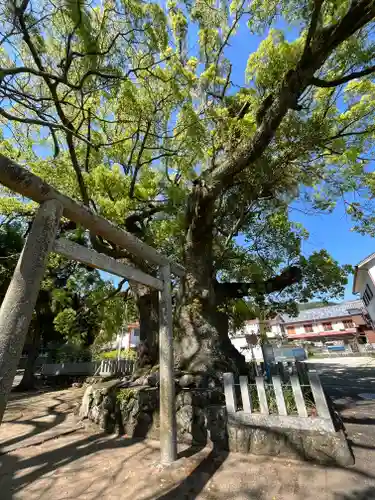 熊野三所大神社（浜の宮王子）(和歌山県)
