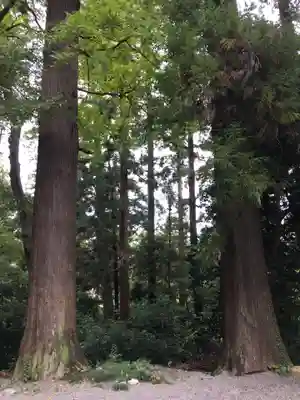 一之宮貫前神社のその他建物