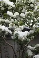 松室院(奈良県)