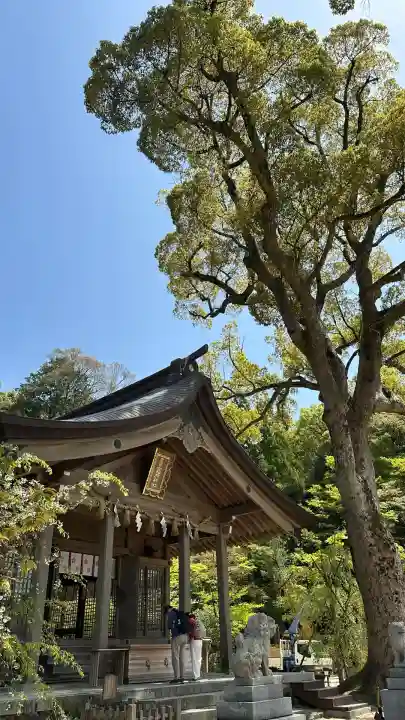 宝満宮竈門神社(福岡県)