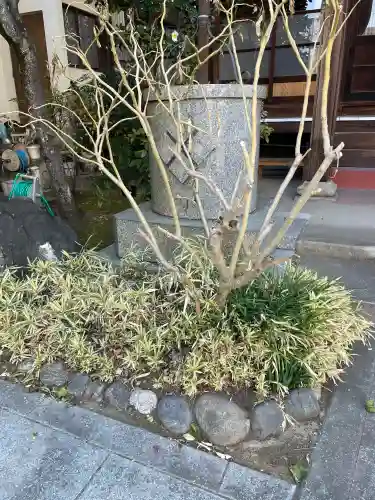 瑞泰寺の{uncategorized: "未分類", other: "その他", undefined: "問題あり", building: "その他建物", grave: "お墓", sacred_gate: "鳥居", guardian: "狛犬", statue: "像", buddha: "仏像", history: "歴史", nature: "自然", garden: "庭園", animal: "動物", pagoda: "塔", temizu: "手水舎", mountain_gate: "山門・神門", sanctuary: "本殿・本堂", subordinate: "末社・摂社", art: "芸術", scenery: "景色", jizo: "地蔵", ema: "絵馬", goshuin: "御朱印", omikuji: "おみくじ", items: "授与品その他", amulet: "お守り", goshuincho: "御朱印帳", eats: "食事", festival: "お祭り", votive_dance: "神楽", shichigosan: "七五三参", wedding: "結婚式", experience: "体験その他", initially: "初詣", around: "周辺", anti_infection: "感染症対策"}
