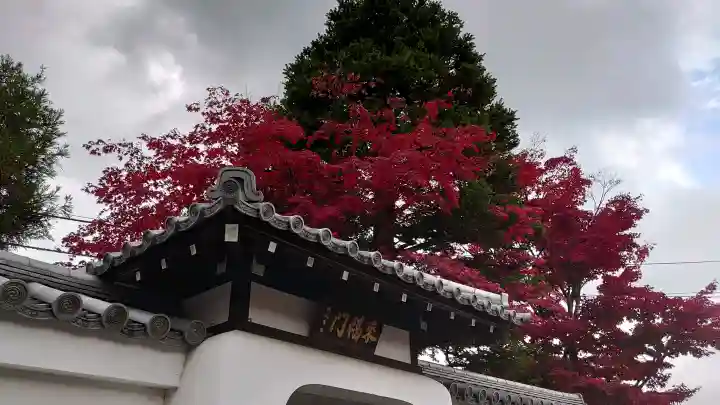 天龍寺の{uncategorized: "未分類", other: "その他", undefined: "問題あり", building: "その他建物", grave: "お墓", sacred_gate: "鳥居", guardian: "狛犬", statue: "像", buddha: "仏像", history: "歴史", nature: "自然", garden: "庭園", animal: "動物", pagoda: "塔", temizu: "手水舎", mountain_gate: "山門・神門", sanctuary: "本殿・本堂", subordinate: "末社・摂社", art: "芸術", scenery: "景色", jizo: "地蔵", ema: "絵馬", goshuin: "御朱印", omikuji: "おみくじ", items: "授与品その他", amulet: "お守り", goshuincho: "御朱印帳", eats: "食事", festival: "お祭り", votive_dance: "神楽", shichigosan: "七五三参", wedding: "結婚式", experience: "体験その他", initially: "初詣", around: "周辺", anti_infection: "感染症対策"}