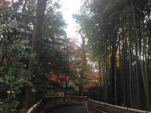 観泉寺の庭園