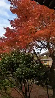 法金剛院(京都府)