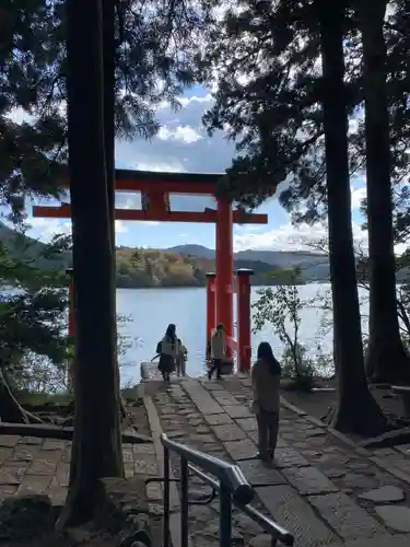 箱根神社の鳥居