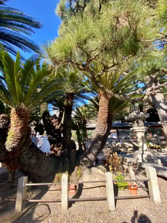 御香宮神社の自然