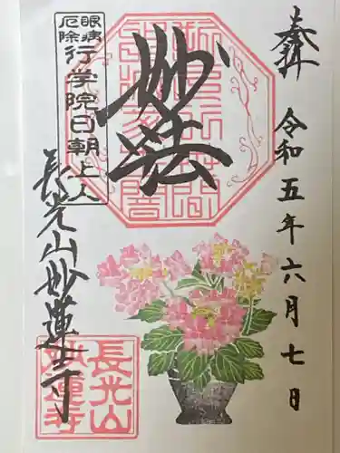 妙蓮寺の御朱印