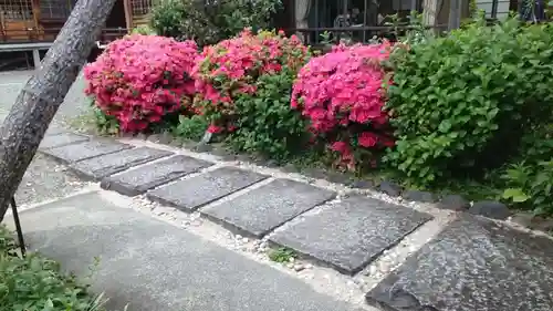 本郷氷川神社(東京都)
