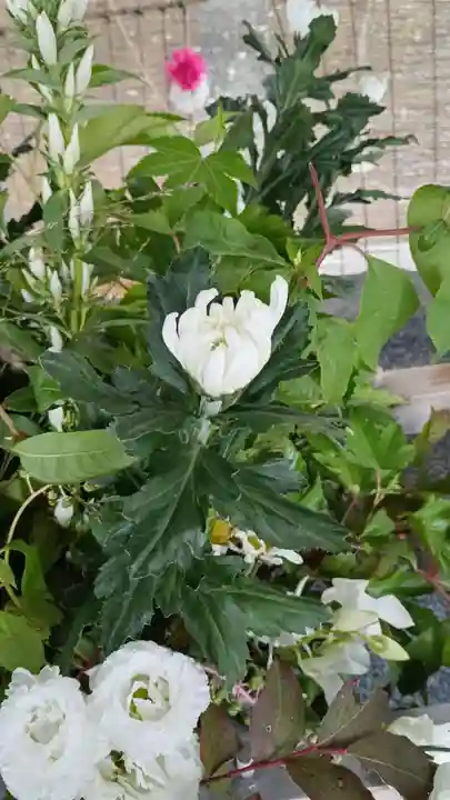 彌彦神社 (伊夜日子神社)(北海道)