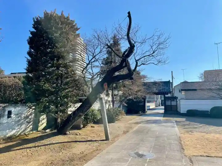 宝輪寺の{uncategorized: "未分類", other: "その他", undefined: "問題あり", building: "その他建物", grave: "お墓", sacred_gate: "鳥居", guardian: "狛犬", statue: "像", buddha: "仏像", history: "歴史", nature: "自然", garden: "庭園", animal: "動物", pagoda: "塔", temizu: "手水舎", mountain_gate: "山門・神門", sanctuary: "本殿・本堂", subordinate: "末社・摂社", art: "芸術", scenery: "景色", jizo: "地蔵", ema: "絵馬", goshuin: "御朱印", omikuji: "おみくじ", items: "授与品その他", amulet: "お守り", goshuincho: "御朱印帳", eats: "食事", festival: "お祭り", votive_dance: "神楽", shichigosan: "七五三参", wedding: "結婚式", experience: "体験その他", initially: "初詣", around: "周辺", anti_infection: "感染症対策"}