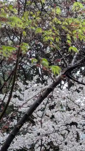 建部大社(滋賀県)