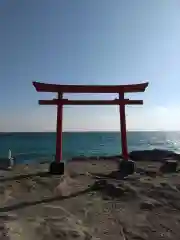 伊古奈比咩命神社の鳥居