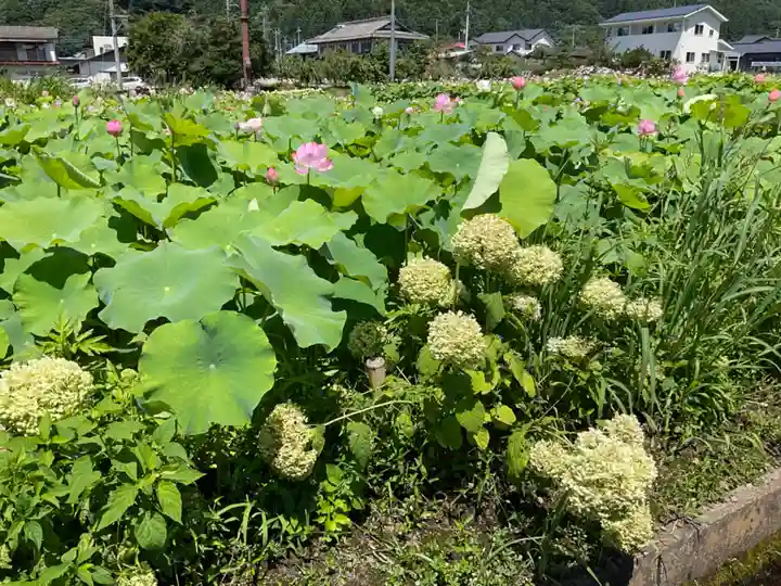 青龍山 吉祥寺(群馬県)
