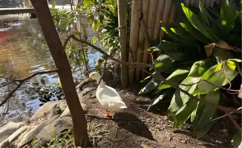 平塚八幡宮(神奈川県)