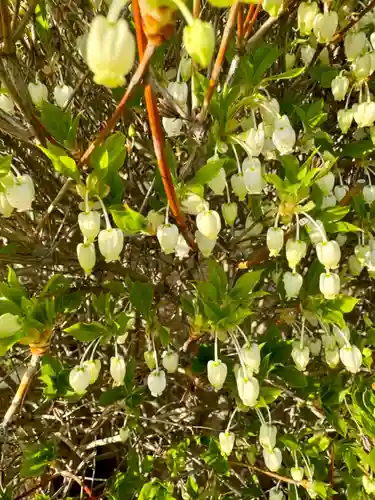 西住院(京都府)