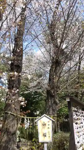 櫻木神社(千葉県)