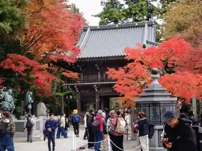 高尾山薬王院の山門・神門
