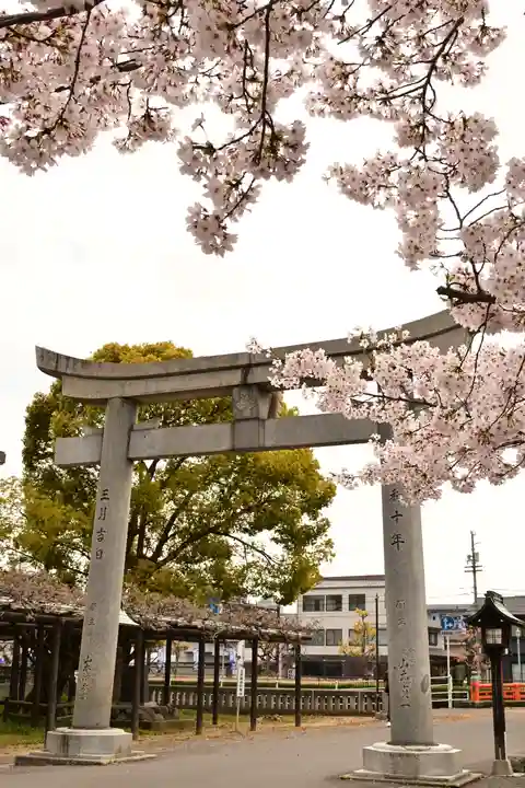 姫坂神社(愛媛県)