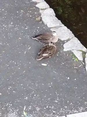 武蔵国分寺(東京都)