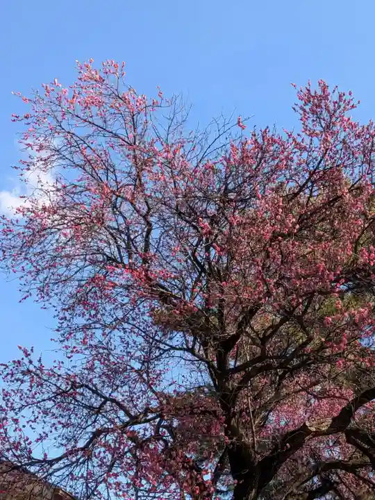 田端神社(東京都)