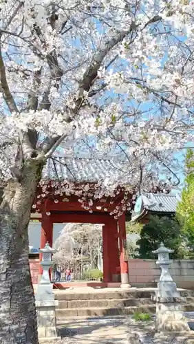無量壽院(千葉県)