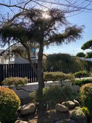 隆盛寺(神奈川県)