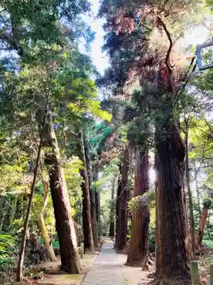 日吉神社(千葉県)