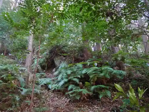 立石稲荷の自然