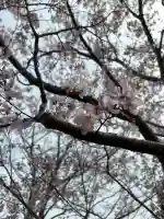 源空院(浅井寺)の{uncategorized: "未分類", other: "その他", undefined: "問題あり", building: "その他建物", grave: "お墓", sacred_gate: "鳥居", guardian: "狛犬", statue: "像", buddha: "仏像", history: "歴史", nature: "自然", garden: "庭園", animal: "動物", pagoda: "塔", temizu: "手水舎", mountain_gate: "山門・神門", sanctuary: "本殿・本堂", subordinate: "末社・摂社", art: "芸術", scenery: "景色", jizo: "地蔵", ema: "絵馬", goshuin: "御朱印", omikuji: "おみくじ", items: "授与品その他", amulet: "お守り", goshuincho: "御朱印帳", eats: "食事", festival: "お祭り", votive_dance: "神楽", shichigosan: "七五三参", wedding: "結婚式", experience: "体験その他", initially: "初詣", around: "周辺", anti_infection: "感染症対策"}