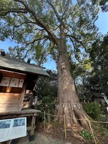 白鬚神社(宮崎県)