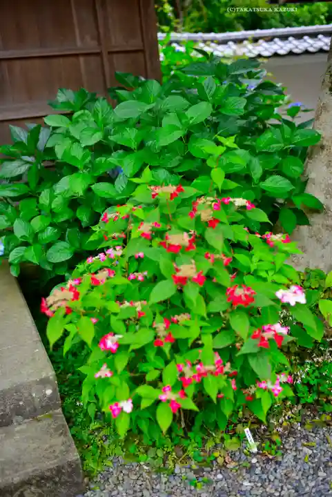 佛日庵(神奈川県)