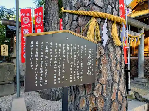 中野沼袋氷川神社(東京都)