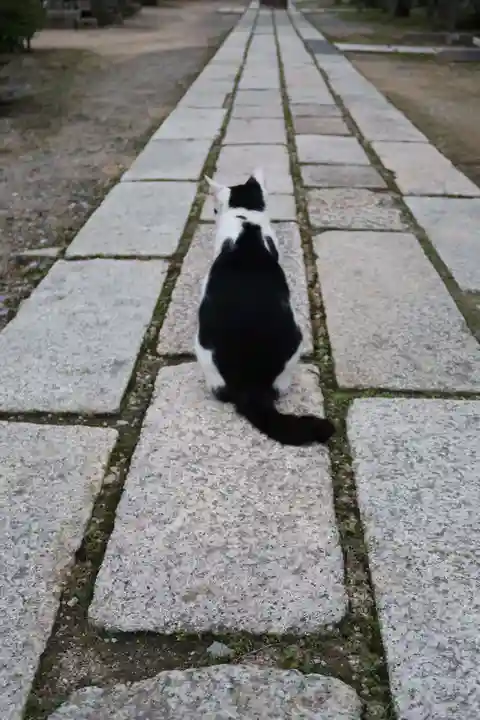 観音正寺(滋賀県)