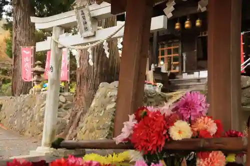 高司神社〜むすびの神の鎮まる社〜の鳥居